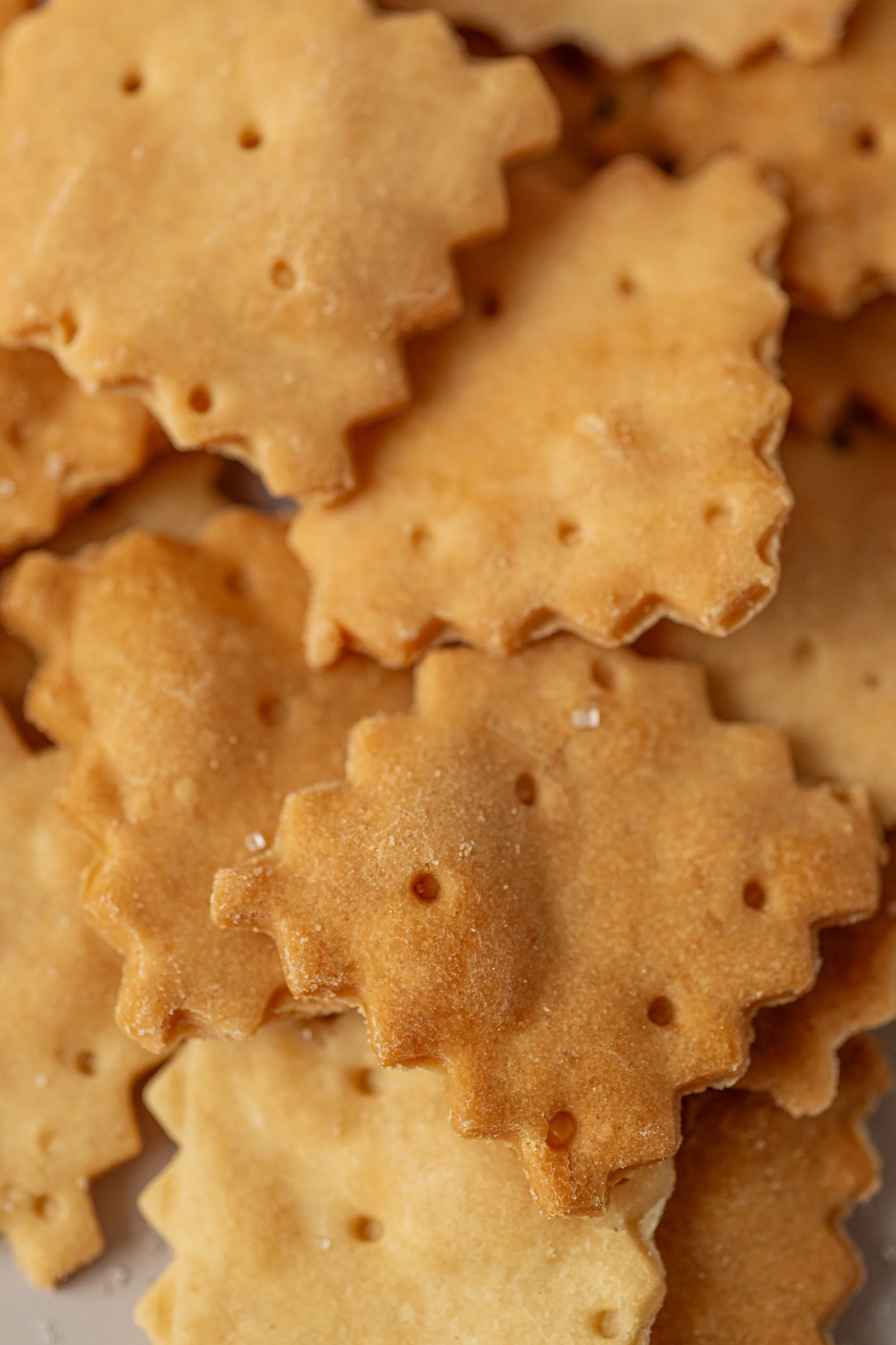 CRACKERS NATURAL - Image 3